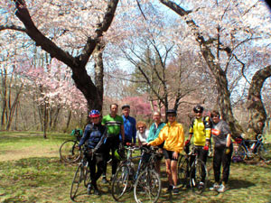 Cherry Blossom ride 2005