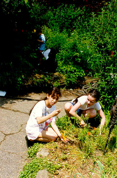 RING98 Kids planting oval.tif (686964 bytes)
